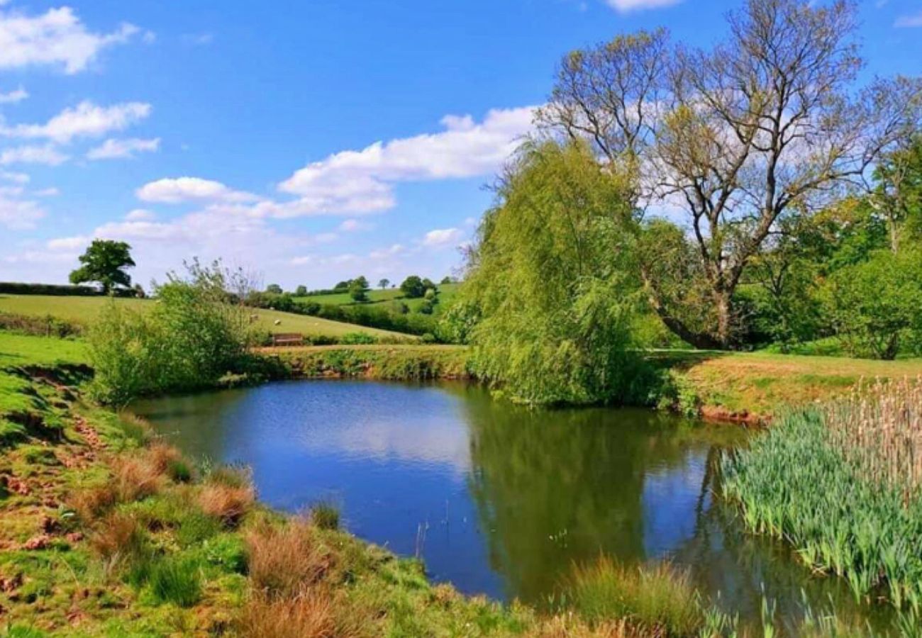 Cabin in Hereford - Long Meadow View