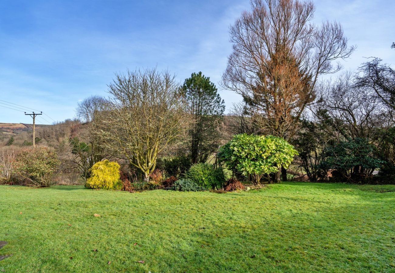 Cottage in Molland - Whitley