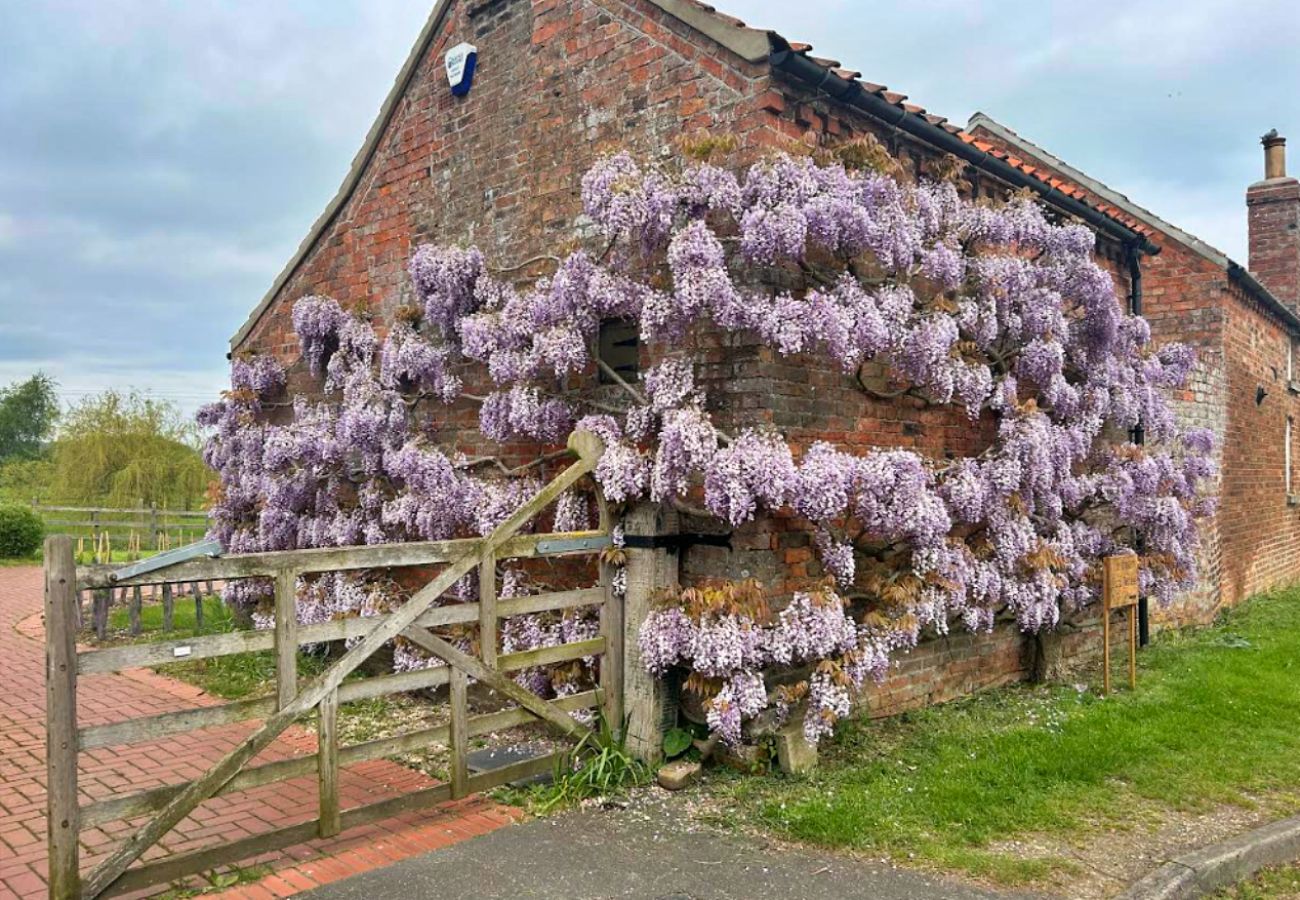 Cottage in Hemingby - Wisteria at the Rookery